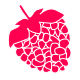 Raspberry1